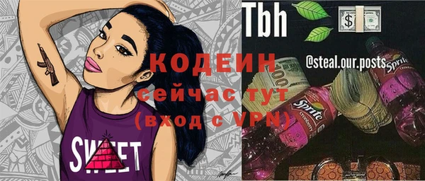 тгк Володарск