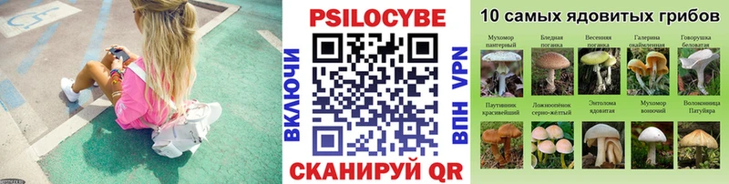 Галлюциногенные грибы Cubensis  Купить закладки  Бахчисарай 